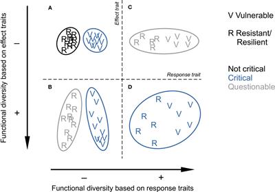 The importance of trait selection on the meaning of functional diversity in benthic studies